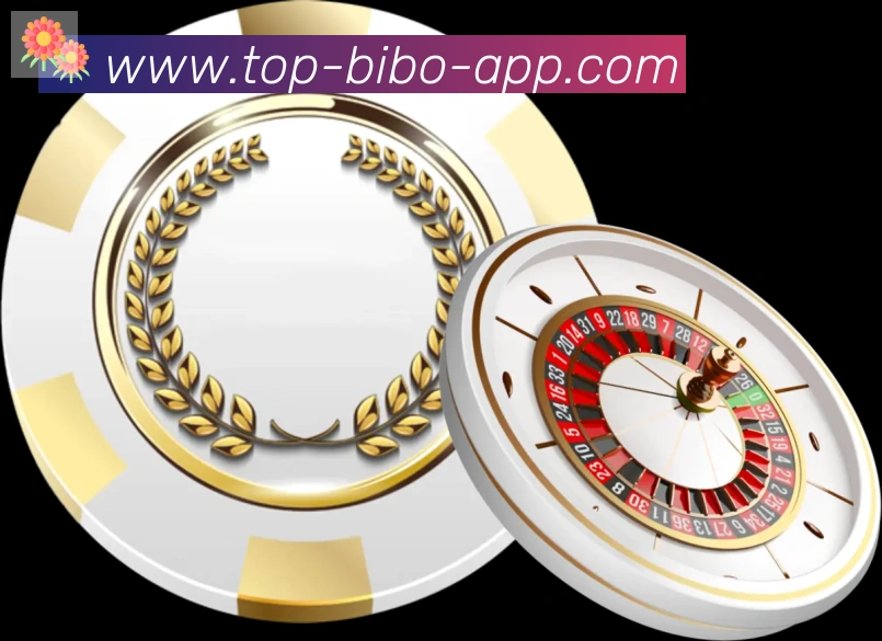 必博bibo官网体育APP 高清赛事图